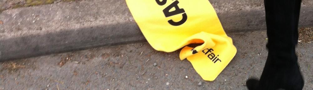 Betfair scarves thrown away