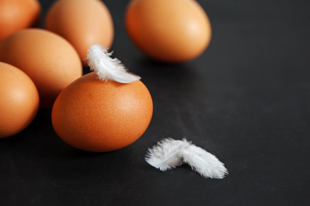what-came-first-the-chicken-or-the-egg